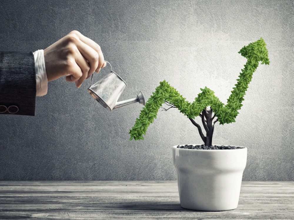 WordPress Grows With You